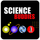 Web Science Buddies